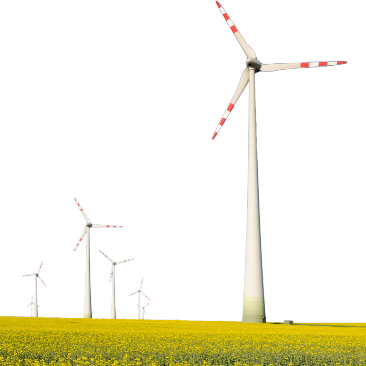 Wind turbines on a field